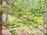 224 Apache Trail - Photo 8