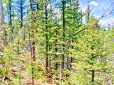 224 Apache Trail - Photo 9