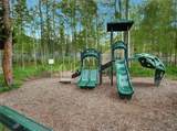 2400 Lodge Pole Circle - Photo 41
