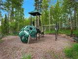 2400 Lodge Pole Circle - Photo 42