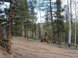 258 Old Squaw Road - Photo 12