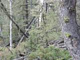 258 Old Squaw Road - Photo 17