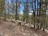 258 Old Squaw Road - Photo 19