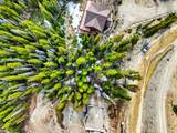 140 Quandary View Drive - Photo 19