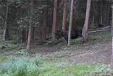 0516 County Road 674 - Photo 39