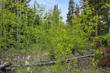 336 Blue Spruce Road - Photo 11