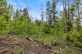 336 Blue Spruce Road - Photo 5