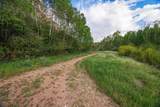22090 County Road 212 - Photo 12