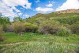 22090 County Road 212 - Photo 17
