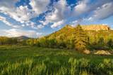22090 County Road 212 - Photo 29