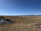 2665 Caddo Road - Photo 14