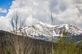 59 Gold Run Road - Photo 46
