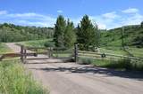 23590 Youngs Creek Way - Photo 2