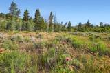 75 Antlers Gulch Road - Photo 28