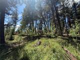 TBD Spring Creek Ranch Road - Photo 13