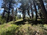TBD Spring Creek Ranch Road - Photo 14