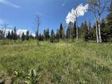 TBD Spring Creek Ranch Road - Photo 17