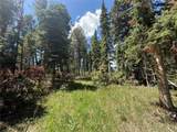 TBD Spring Creek Ranch Road - Photo 18