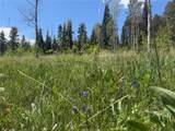 TBD Spring Creek Ranch Road - Photo 21