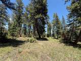 TBD Spring Creek Ranch Road - Photo 30