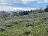 TBD Spring Creek Ranch Road - Photo 45