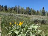 TBD Spring Creek Ranch Road - Photo 46