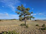 PCS#24142 Antero Road - Photo 3