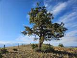 PCS#24142 Antero Road - Photo 7