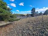 908 Raven Way - Photo 11