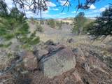 908 Raven Way - Photo 13