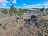 908 Raven Way - Photo 19