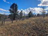 908 Raven Way - Photo 8