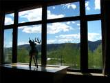 2300 Mt. Werner Circle - Photo 2