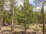 PCS#38033 Foxtail Drive - Photo 12