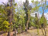 PCS#38033 Foxtail Drive - Photo 13