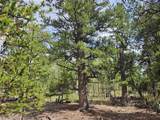 PCS#38033 Foxtail Drive - Photo 15