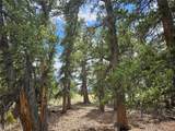 PCS#38033 Foxtail Drive - Photo 16