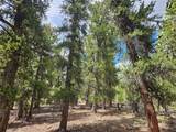 PCS#38033 Foxtail Drive - Photo 18
