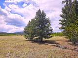 PCS#38033 Foxtail Drive - Photo 19