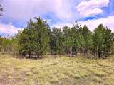 PCS#38033 Foxtail Drive - Photo 27