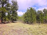 PCS#38033 Foxtail Drive - Photo 28