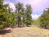 PCS#38033 Foxtail Drive - Photo 29