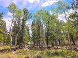 PCS#38033 Foxtail Drive - Photo 32
