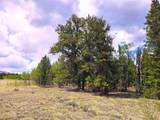 PCS#38033 Foxtail Drive - Photo 38