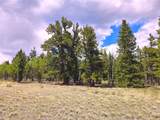 PCS#38033 Foxtail Drive - Photo 39