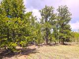 PCS#38033 Foxtail Drive - Photo 7