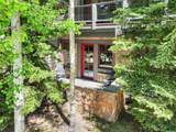 50 Mountain Thunder Drive - Photo 15