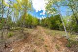 1023 Mexican Ridge Circle - Photo 37
