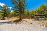 1023 Mexican Ridge Circle - Photo 40