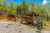1023 Mexican Ridge Circle - Photo 41